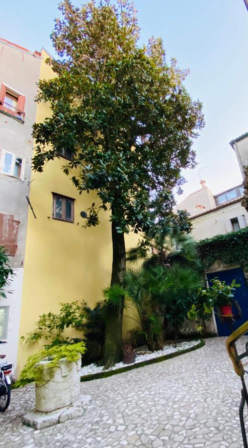B&B La Corte คิออกเจีย ภายนอก รูปภาพ